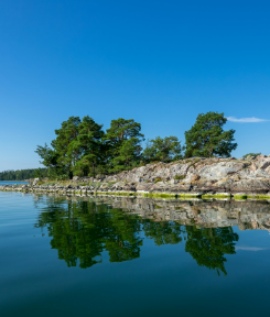 Axopar 45 Cross Top & Sun Top 1